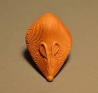 http://www.arturmoser.de/files/gimgs/th-30_Rat, 2019, Buchsbaum, 1,9 x 3,4 x 5,5 cm.jpg